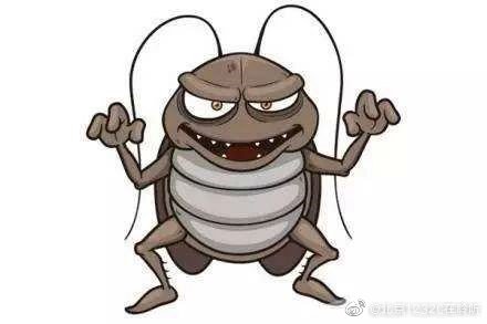 科学防治蟑螂，你学会了吗？